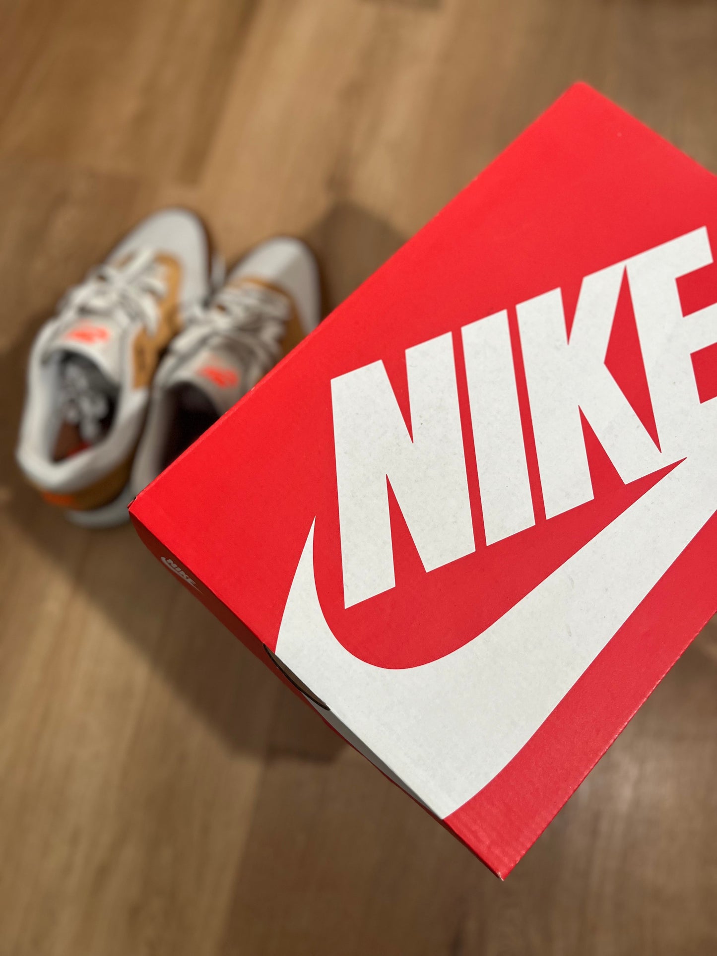 Nike Air Max 1 'Essential Escape’