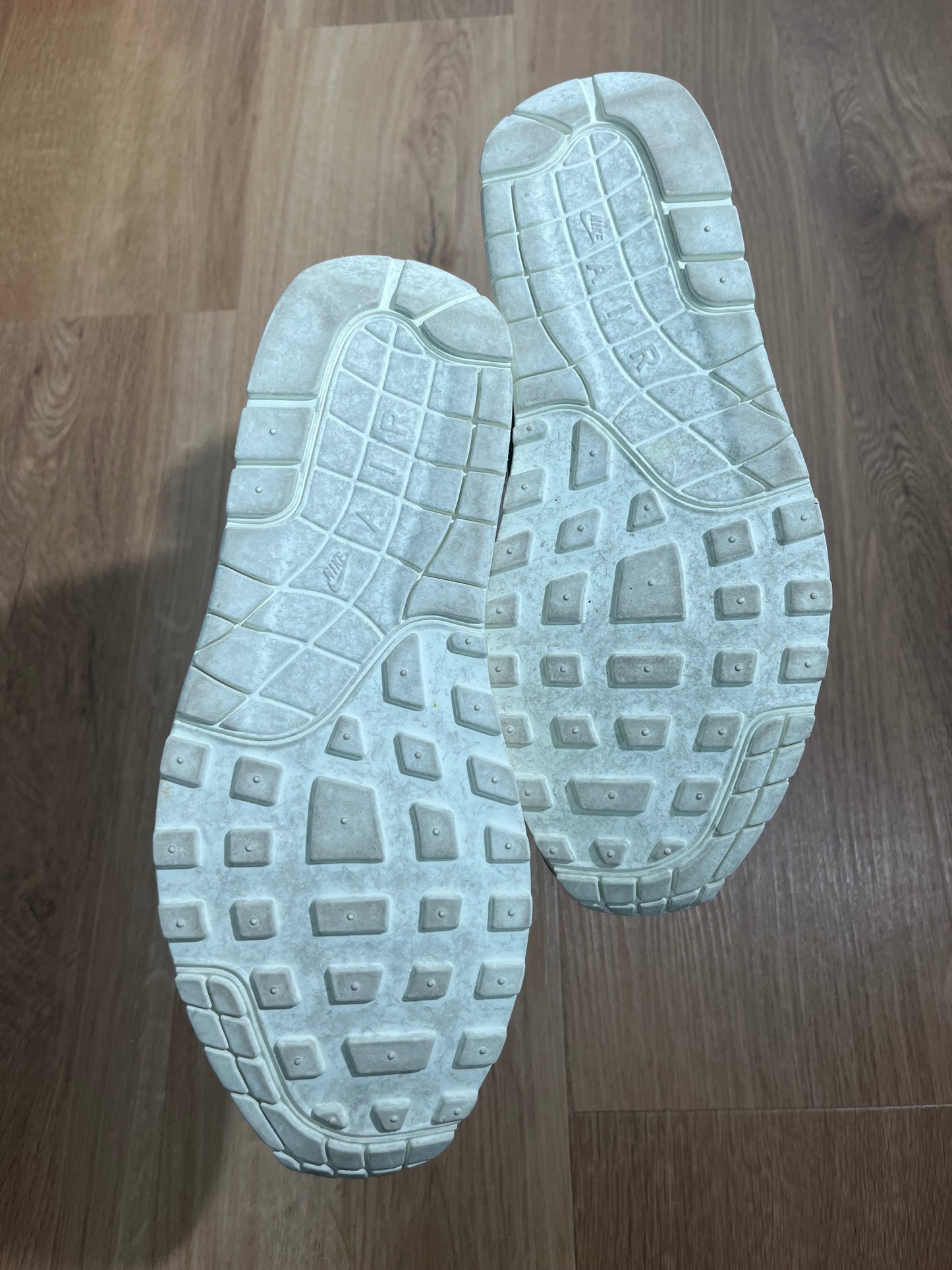 Nike Air Max 1 ‘Pinnacle Mushroom’