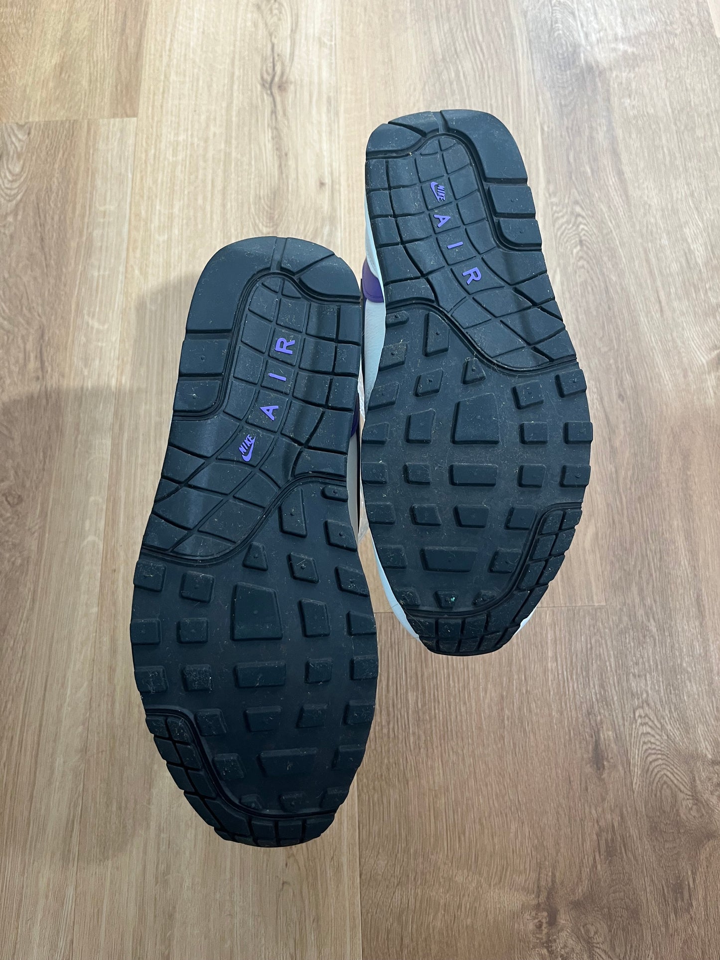 Nike Air Max 1 ‘Purple DNA'