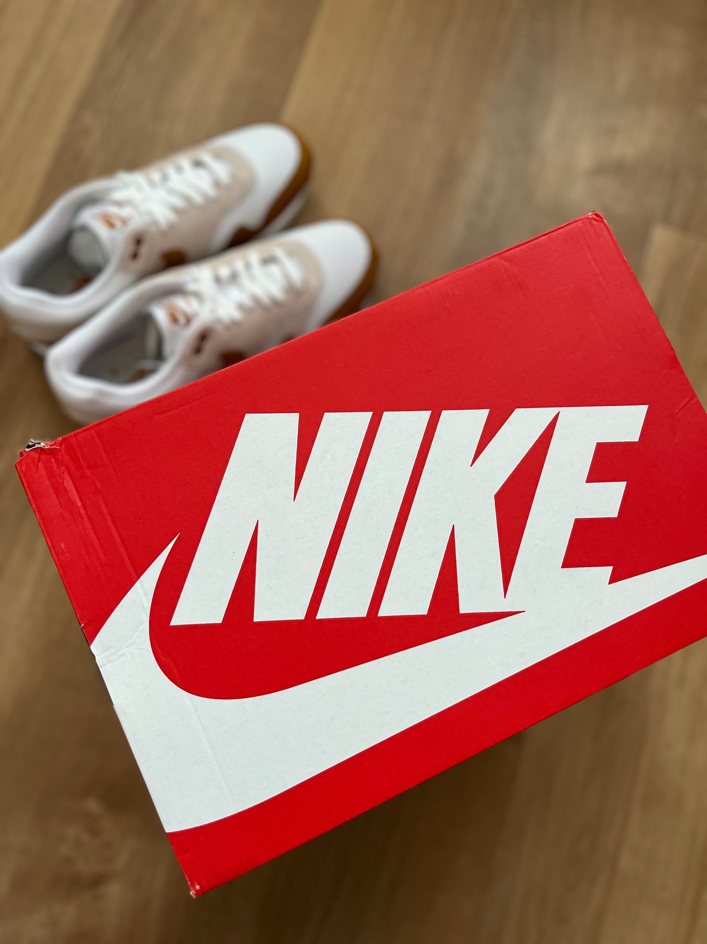 Nike Air Max 1 'Bronze'