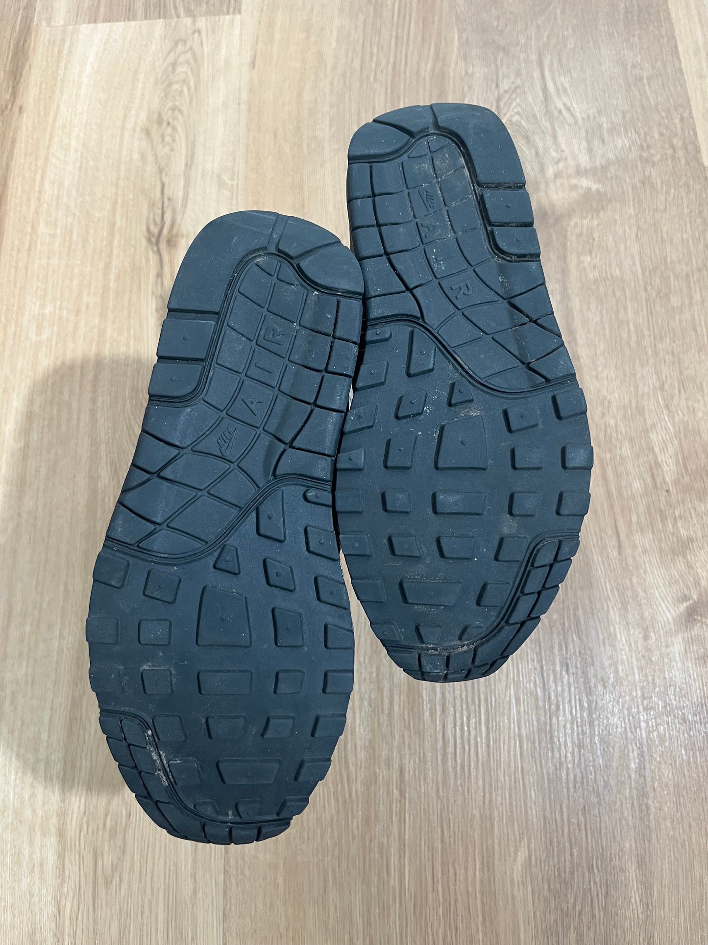 Nike Air Max 1 ‘Black Snakeskin’