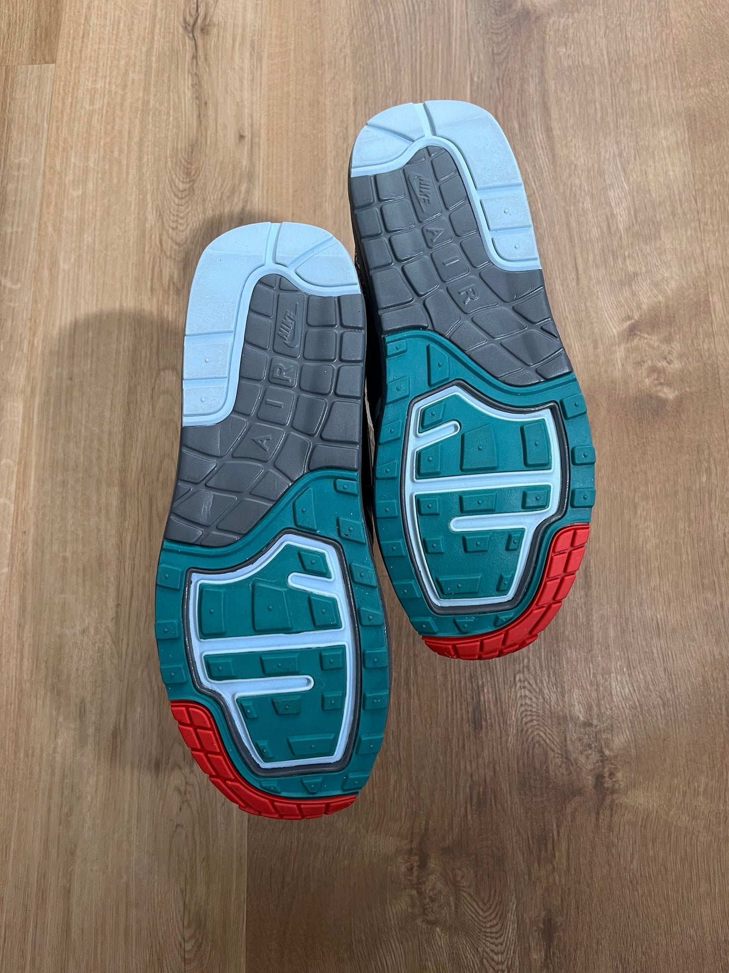 Nike Air Max 1 Lunar ‘Kabutomushi’