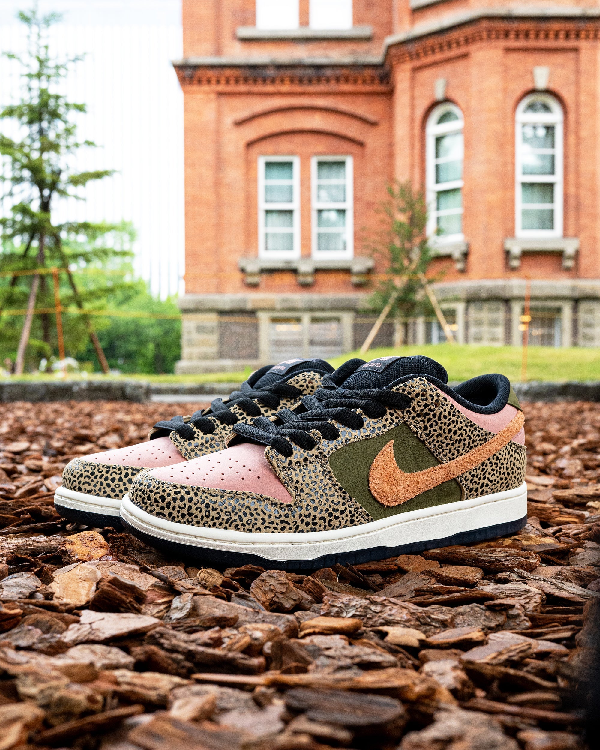 Arts-Rec x Nike Dunk Low SB 'For Recreational Use'