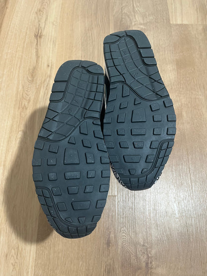 Nike Air Max 1 x Atmos 'Elephant'