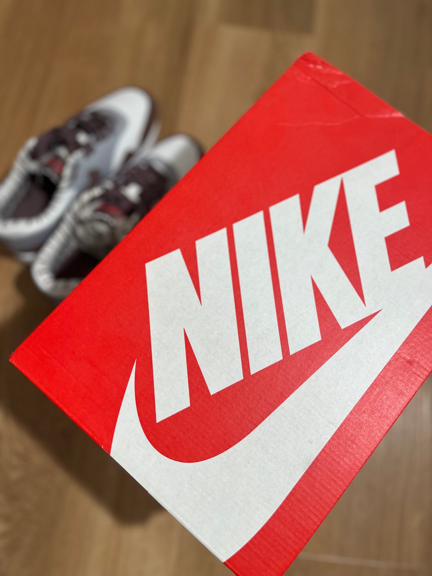 Nike Air Max 1 'Shima Shima'