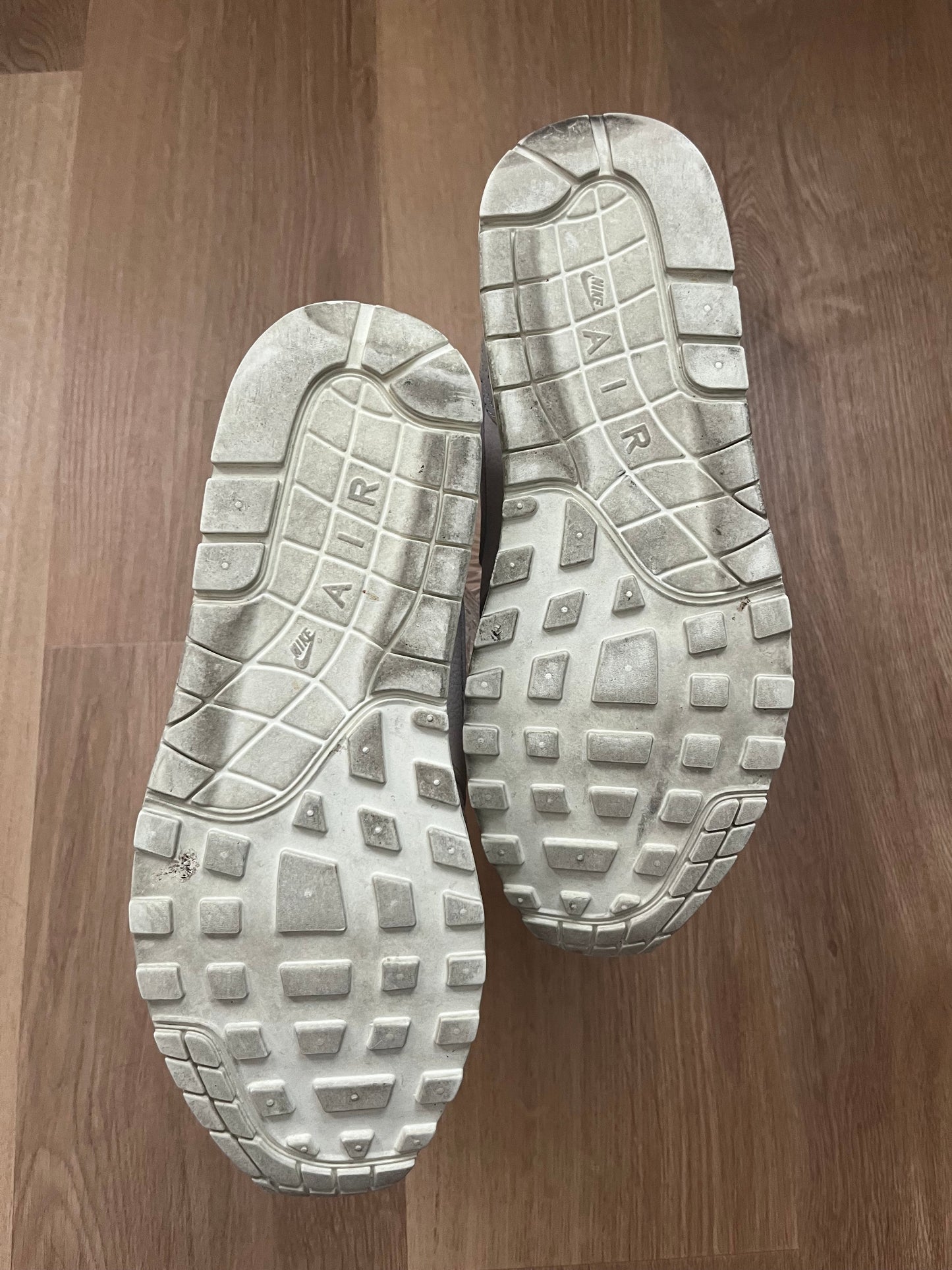 Nike Air Max 1 'Pinnacle Arctic Pink'