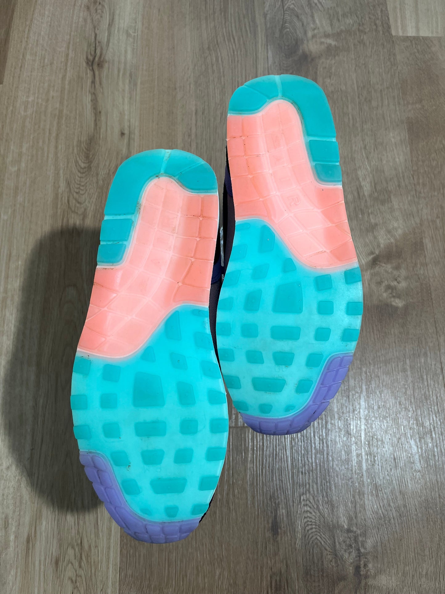 Nike Air Max 1 'Have A Nike Day'