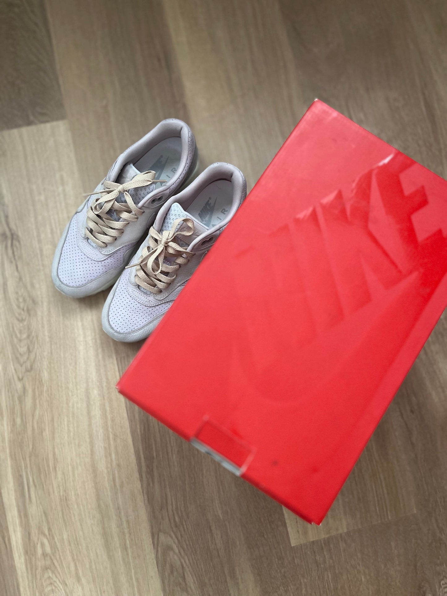 Nike Air Max 1 'Pinnacle Arctic Pink'