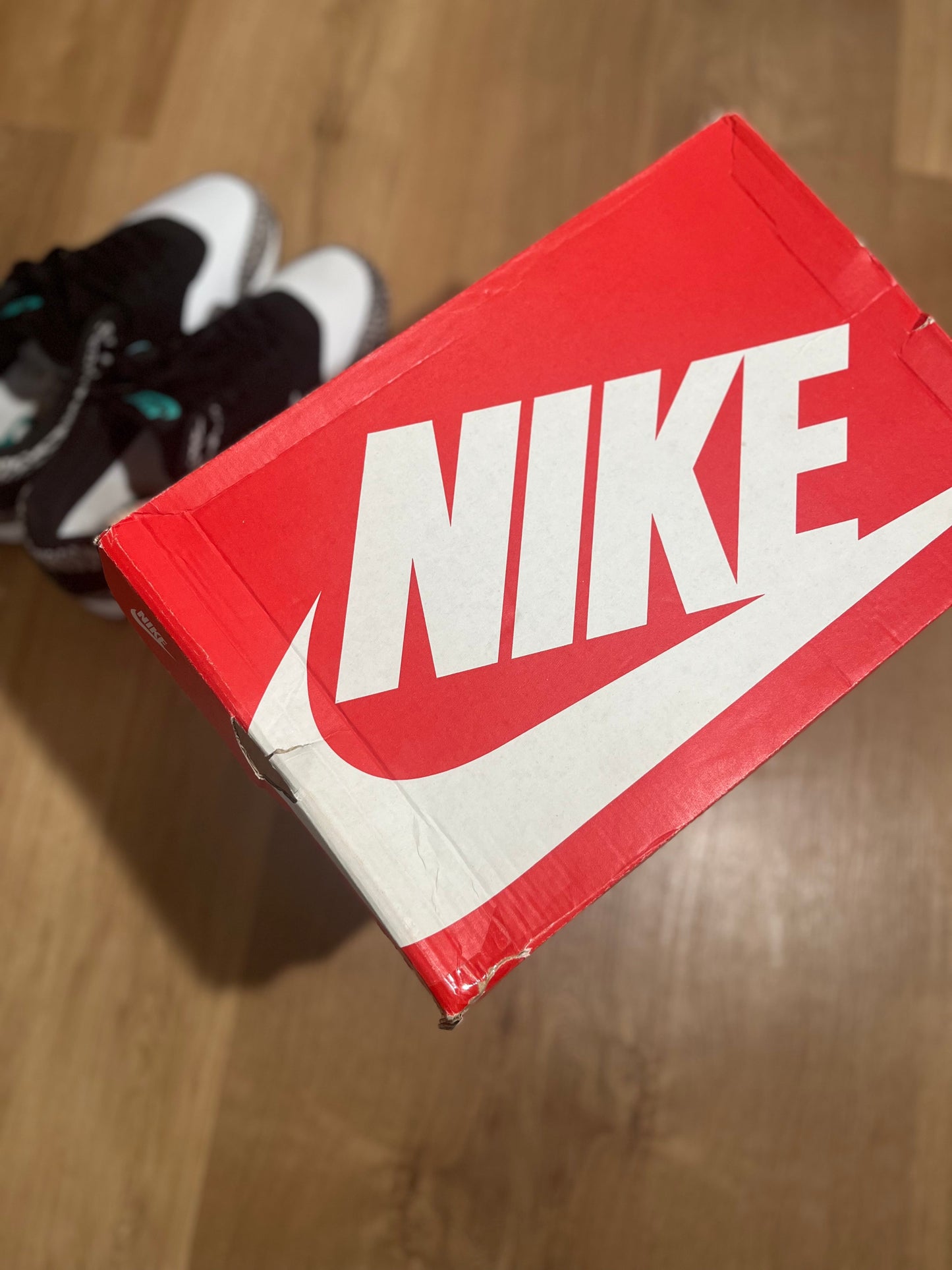 Nike Air Max 1 x Atmos 'Elephant'