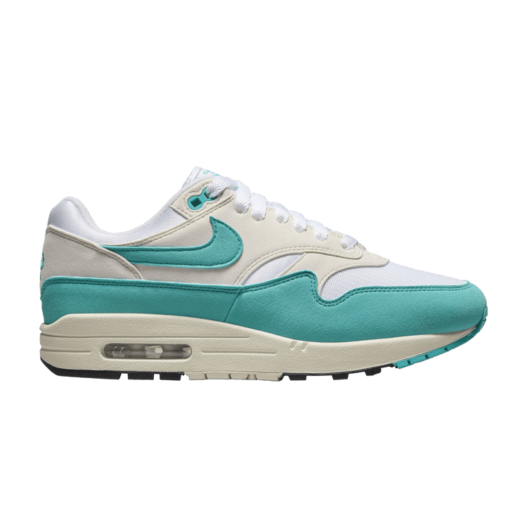 Nike Wmns Air Max 1 'Dusty Cactus'