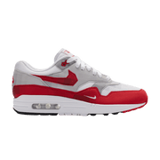 Nike Air Max 1 'Low Poly'