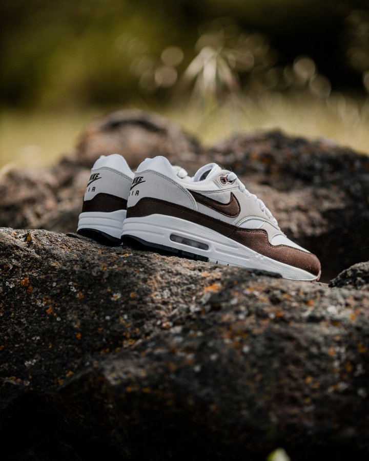 Nike Wmns Air Max 1 'Baroque Brown'