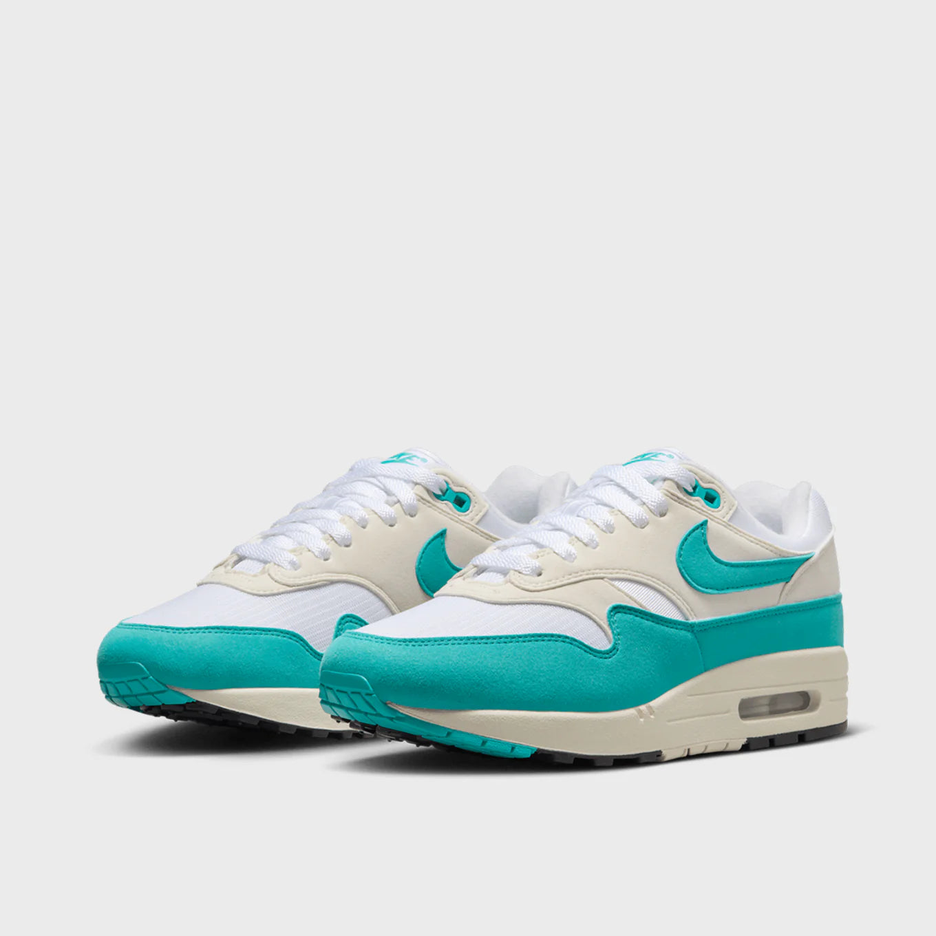Nike Wmns Air Max 1 'Dusty Cactus'